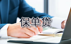鹤岗保单贷
